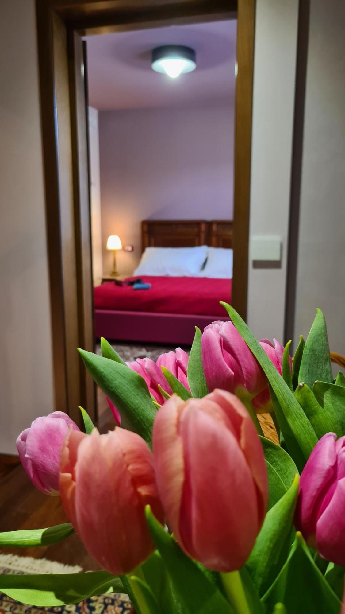 Zi Bitta - Guest House Пальманова Екстер'єр фото